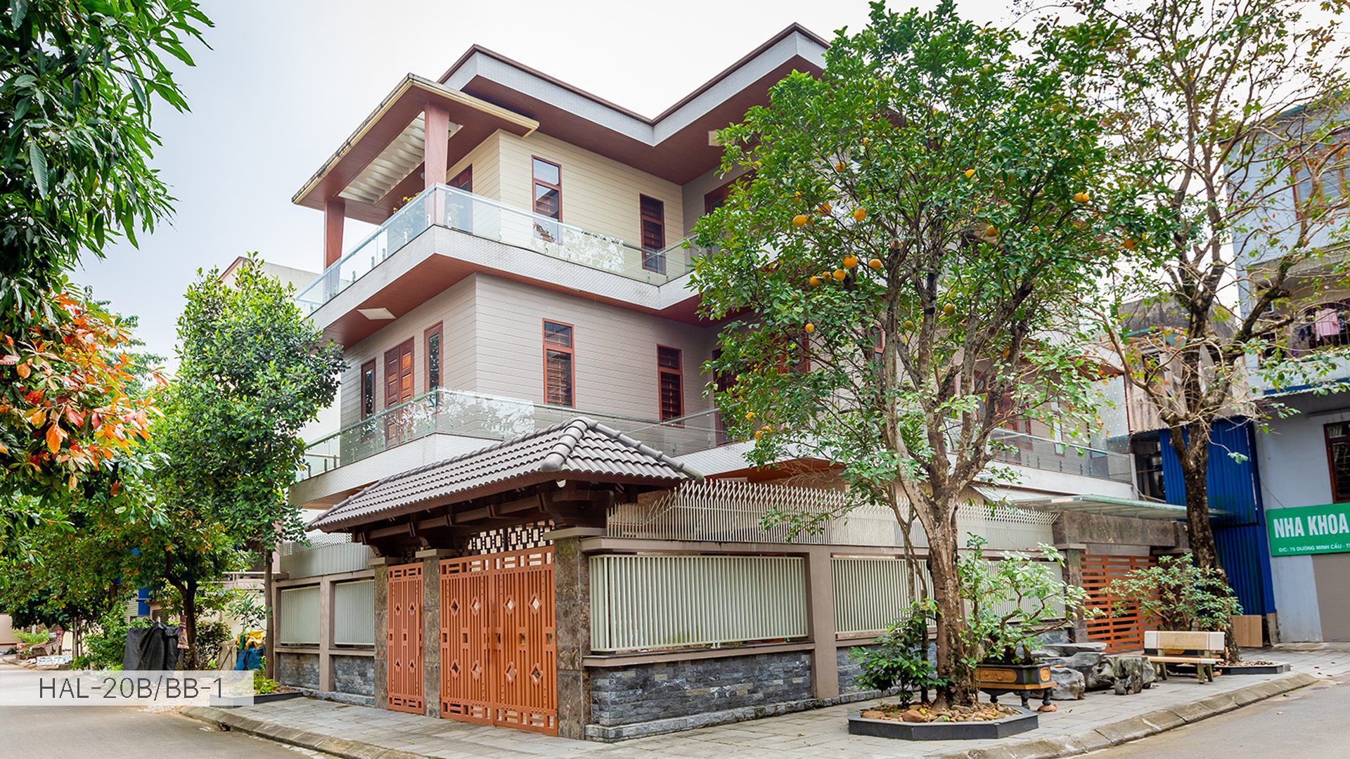 BB-BAMBOO BORDER - Ảnh 6