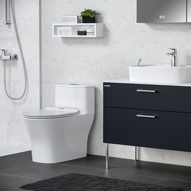 Bộ cầu 1 khối Signature American Standard WP-1880 - Ảnh 2