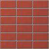 DPL POINT COLOR - Ảnh 11
